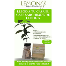 KIT MATAS DE CAFE CON ABONO 1 LB Y LEMONG 750 ML